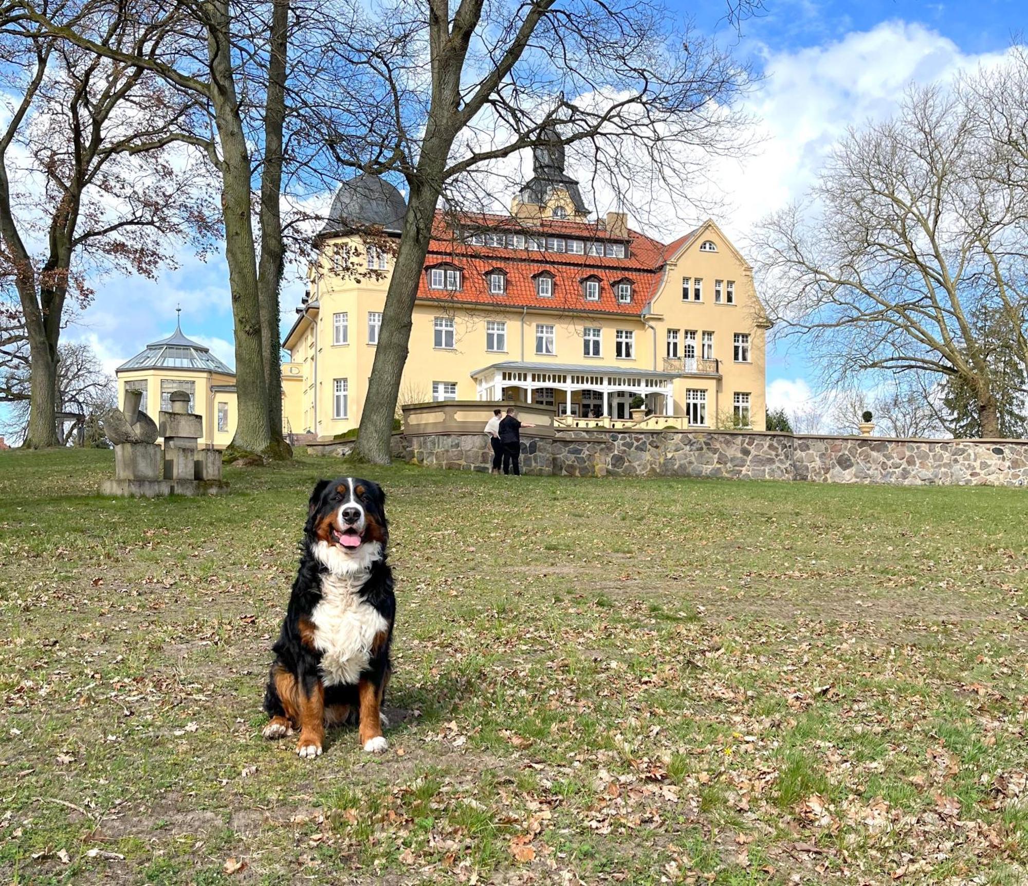 Bernsteinschloss Wendorf  Kültér fotó